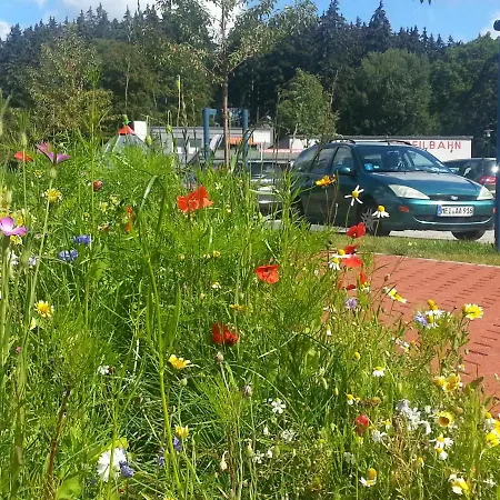 Apartamento Harz Vital *